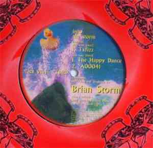 Brian Storm - Into The Storm