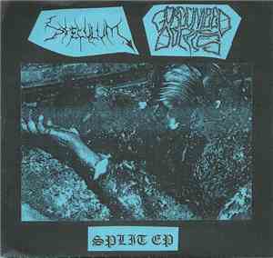 Gorgonized Dorks / Speculum  - Split EP