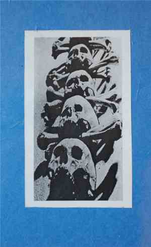 Shiver - Tape I