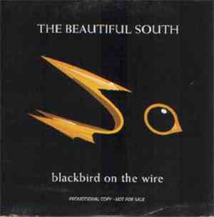 The Beautiful South - Blackbird On The Wire