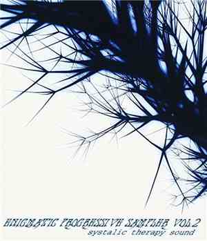 Various - Enigmatic Progressive Sampler Vol.2