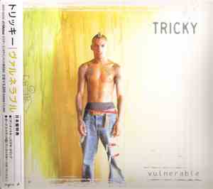 Tricky - Vulnerable