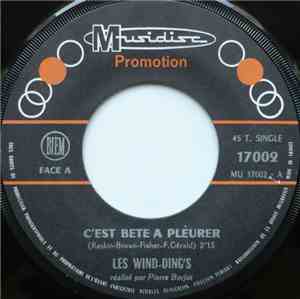 Les Wind-Ding's - C'est Bête À Pleurer
