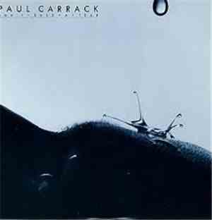 Paul Carrack - Don't Shed A Tear