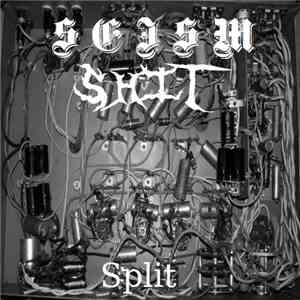 Seism / Shit  - Split
