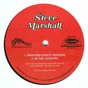 Steve Marshall  - Maintain (Disco Version)
