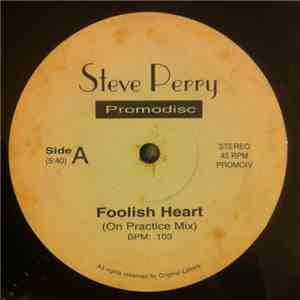Steve Perry, The Care - Foolish Heart/Flaming Sword