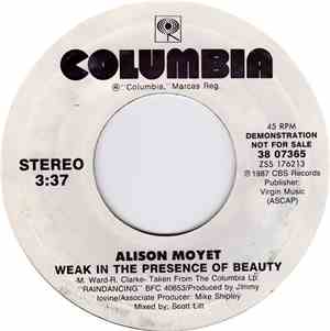 Alison Moyet - Weak In The Presence Of Beauty