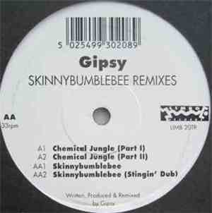 Gipsy - Skinnybumblebee Remixes