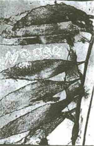 Noose  - Noose Demo Cassette