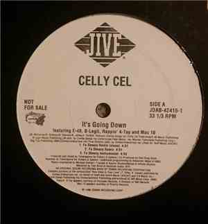 Celly Cel - It's Goin' Down