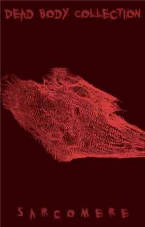 Dead Body Collection - Sarcomere