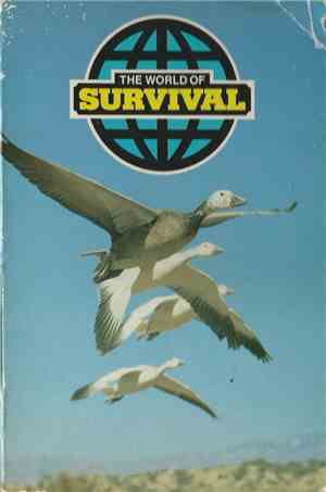 Unknown Artist - The World Of Survival