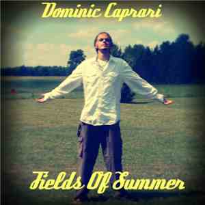 Davino - Fields Of Summer