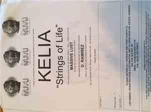 Kelia - Strings Of Life