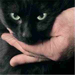 Peter Kernel - White Death, Black Heart