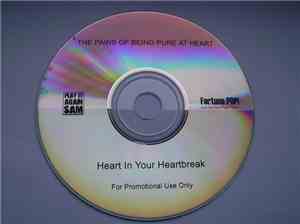 The Pains Of Being Pure At Heart - Heart In Your Heartbreak