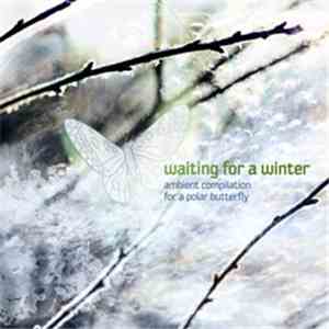 Various - Waiting For Winter