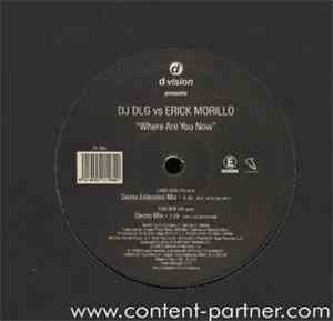 DJ DLG vs Erick Morillo - Where Are You Now