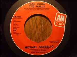 Michael Sembello - Tear Down The Walls