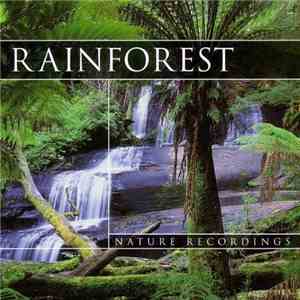No Artist - Rainforest