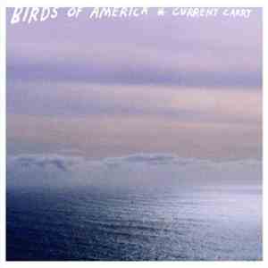 Birds Of America - Current Carry