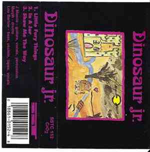Dinosaur Jr. - Little Fury Things