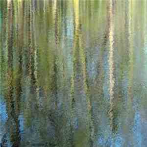 Peter DiPhillips - Mystic River Reflections