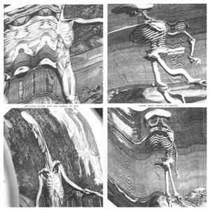 Skeleton Birds And The Number Of God - These Dark Roots Of Heaven