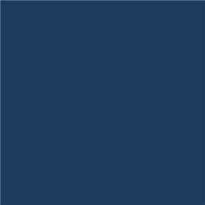 Indigo Jam Unit - Lights