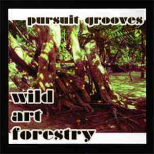 Pursuit Grooves - Wild Art Forestry
