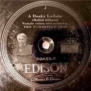The Homestead Trio / We Girls Quartet - A Dusky Lullaby / The Glowworm