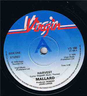 Mallard - Harvest / Green Coyote
