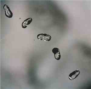 Peter Gabriel - Up