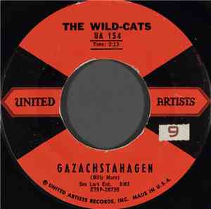 The Wild-Cats - Gazachstahagen