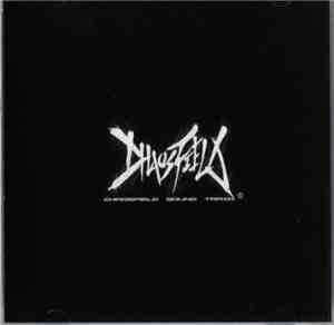 Kou Hayashi & Daisuke Nagata - Chaosfield Sound Track