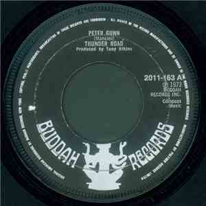 Thunder Road - Peter Gun / Holly Golly