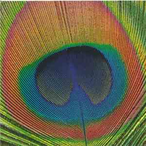 Rizwan-Muazzam Qawwali - Day Of Colours