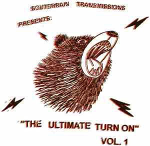 Various - The Ultimate Turn On Vol. 1