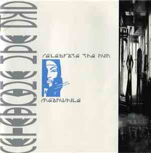 Celebrate The Nun - Meanwhile