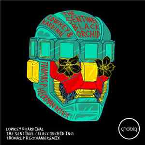 Lowkey & Kardinal - The Sentinel / Black Orchid