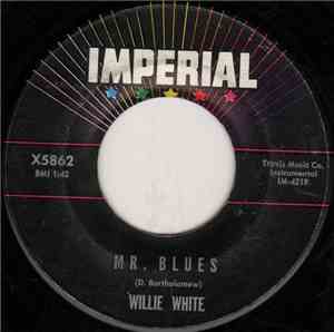 Willie White  - Mr. Blues
