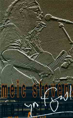Meic Stevens - YN FYW