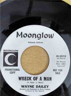 Wayne Dailey  - Wreck Of A Man / Pain And Sorrow