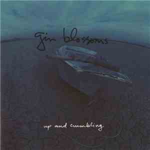 Gin Blossoms - Up And Crumbling