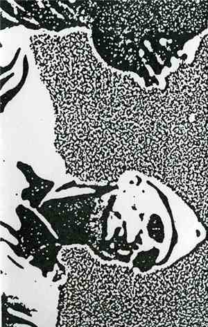 Incubated Sounds - Ornamental Despair