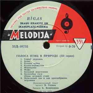 No Artist - Голоса Птиц В Природе