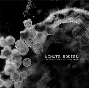 Tindersticks With Thomas Belhom And Christine Ott - Minute Bodies - The Int ...