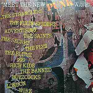 Various - Meet The New (Punk) Wave
