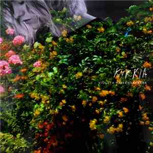 Violeta Päivänkakkara - Kukkia
